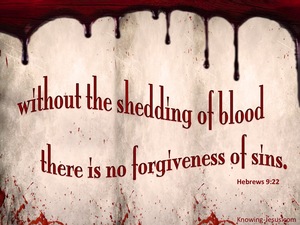 Hebrews 9:22